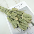 Gem Grass Natural