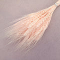 Dried Wheat Pastel Pink