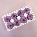 Rose Heather Purple 8 heads