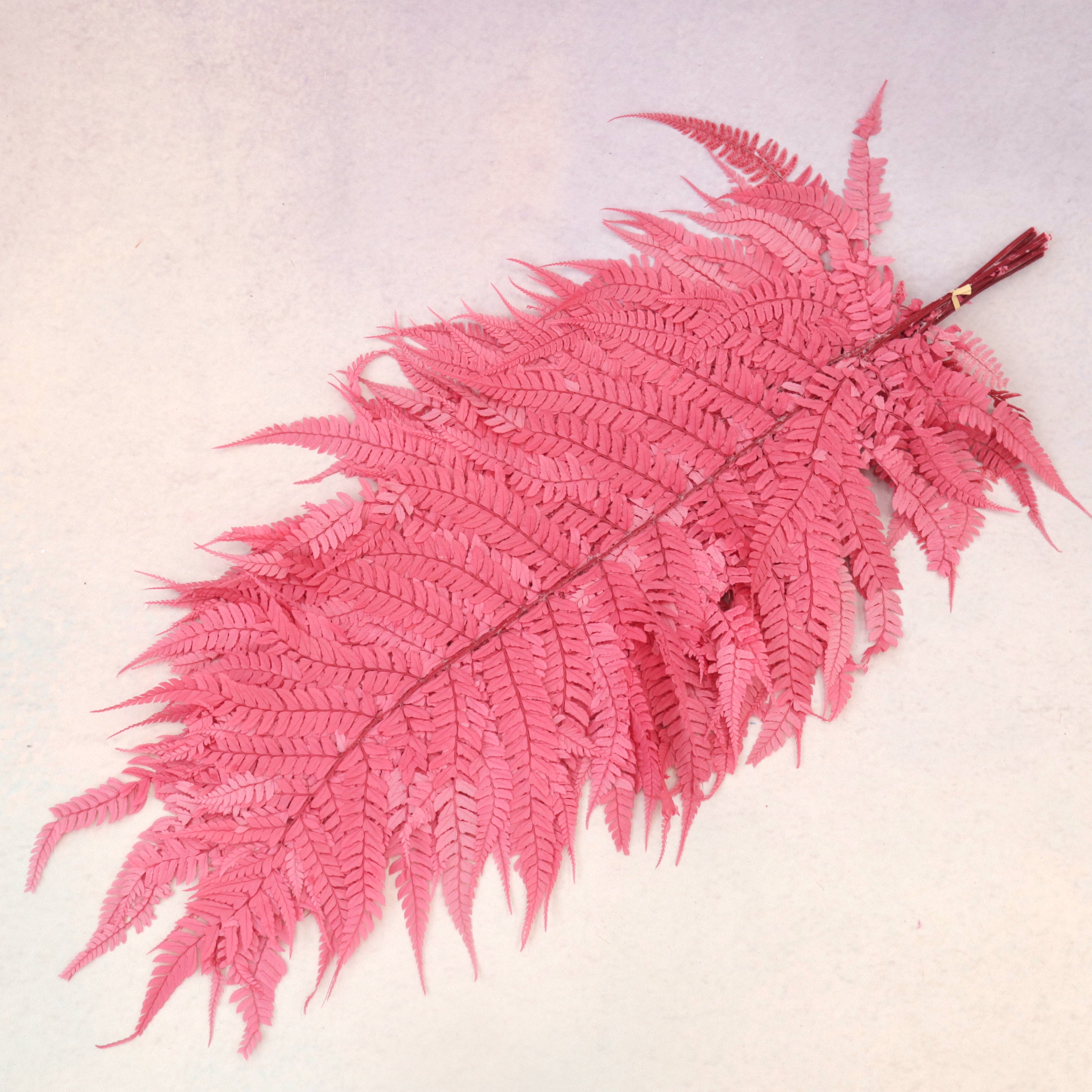 Leather Fern Large Brink Pink