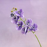 Artificial Real Touch Orchid (28)