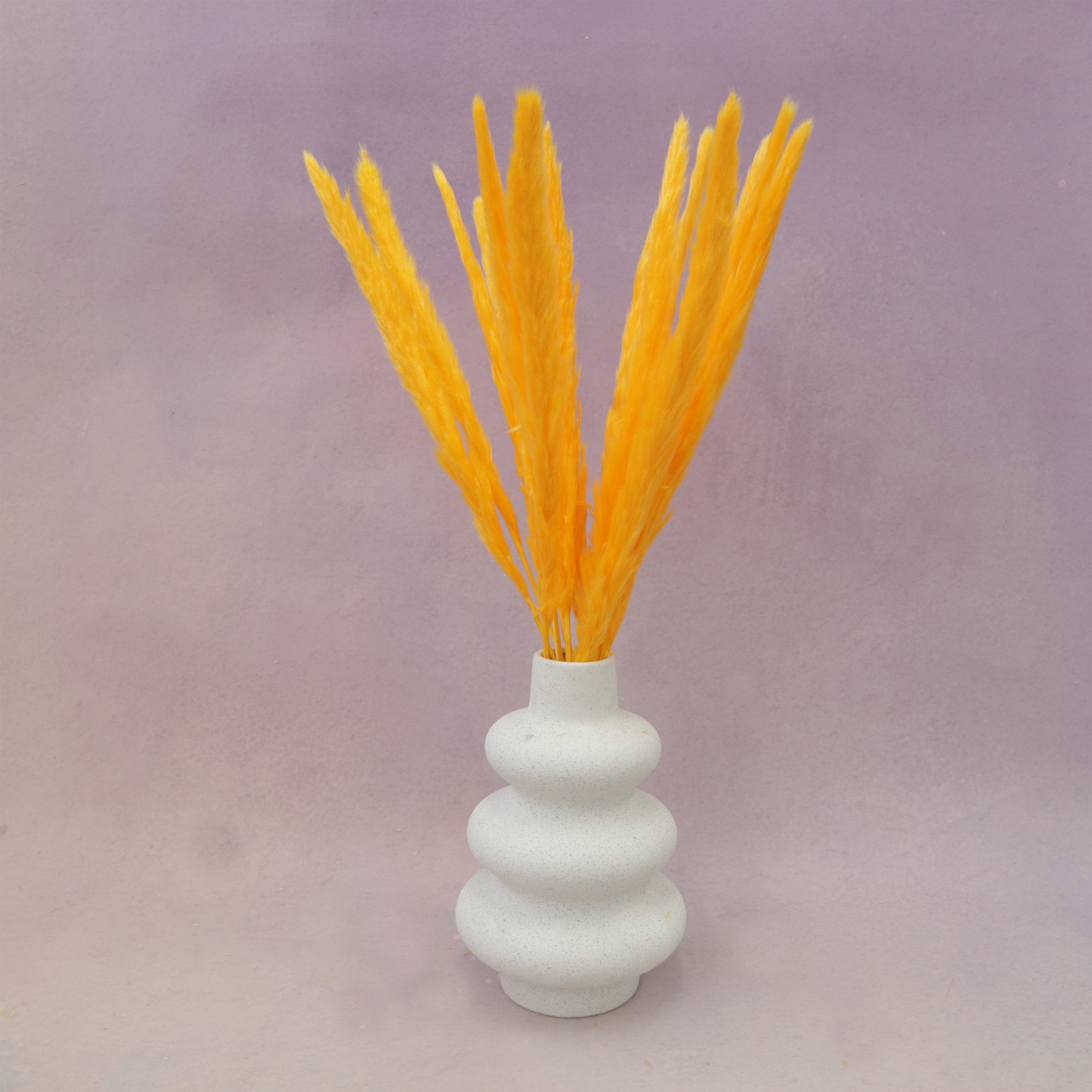 Fluffy Stick Orange