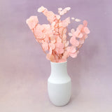 Poly Gum Pink