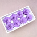 Rose Violet 8 heads