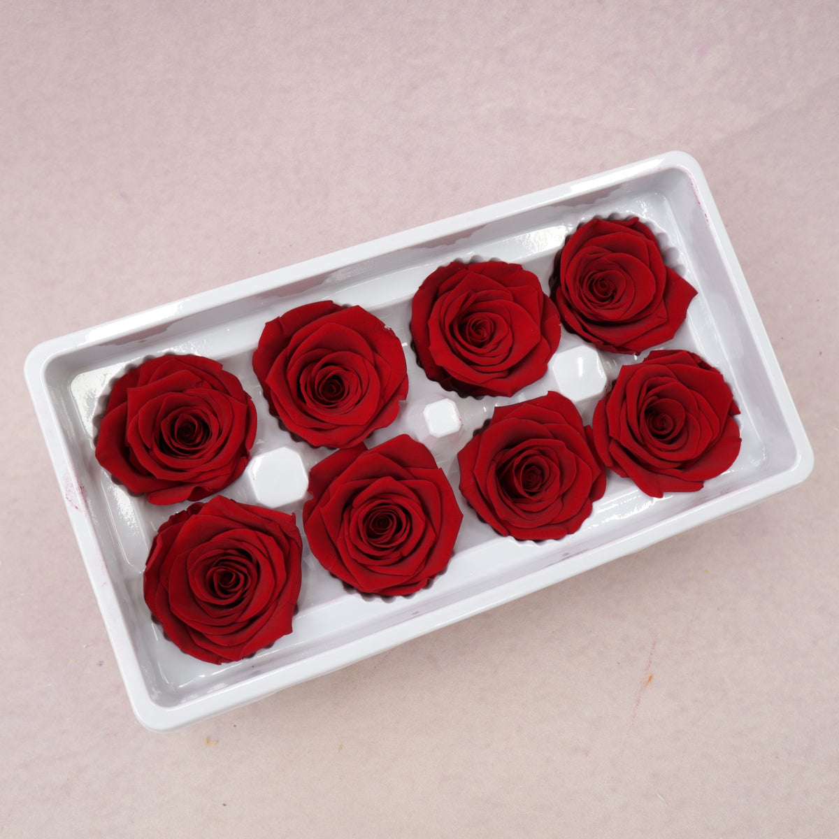 Rose Red 8 heads