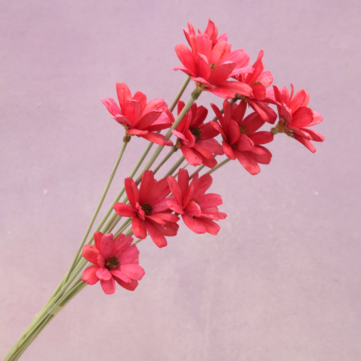 Handmade Daisy Red