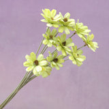 Handmade Daisy Lime