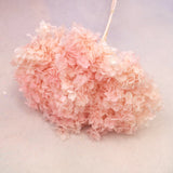 Annabelle Hydrangea Ombré Pink