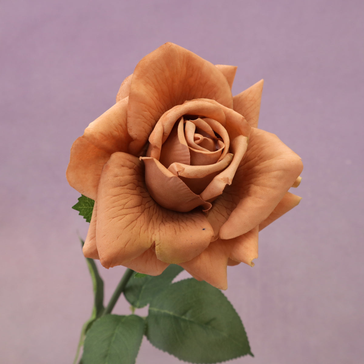Artificial Real Touch Rose Rust Brown