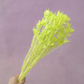 Nigella Lime