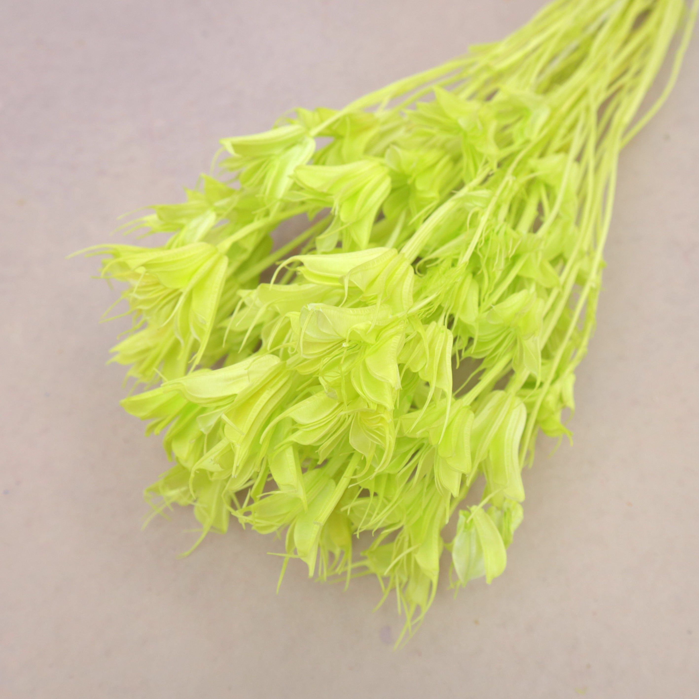 Nigella Lime