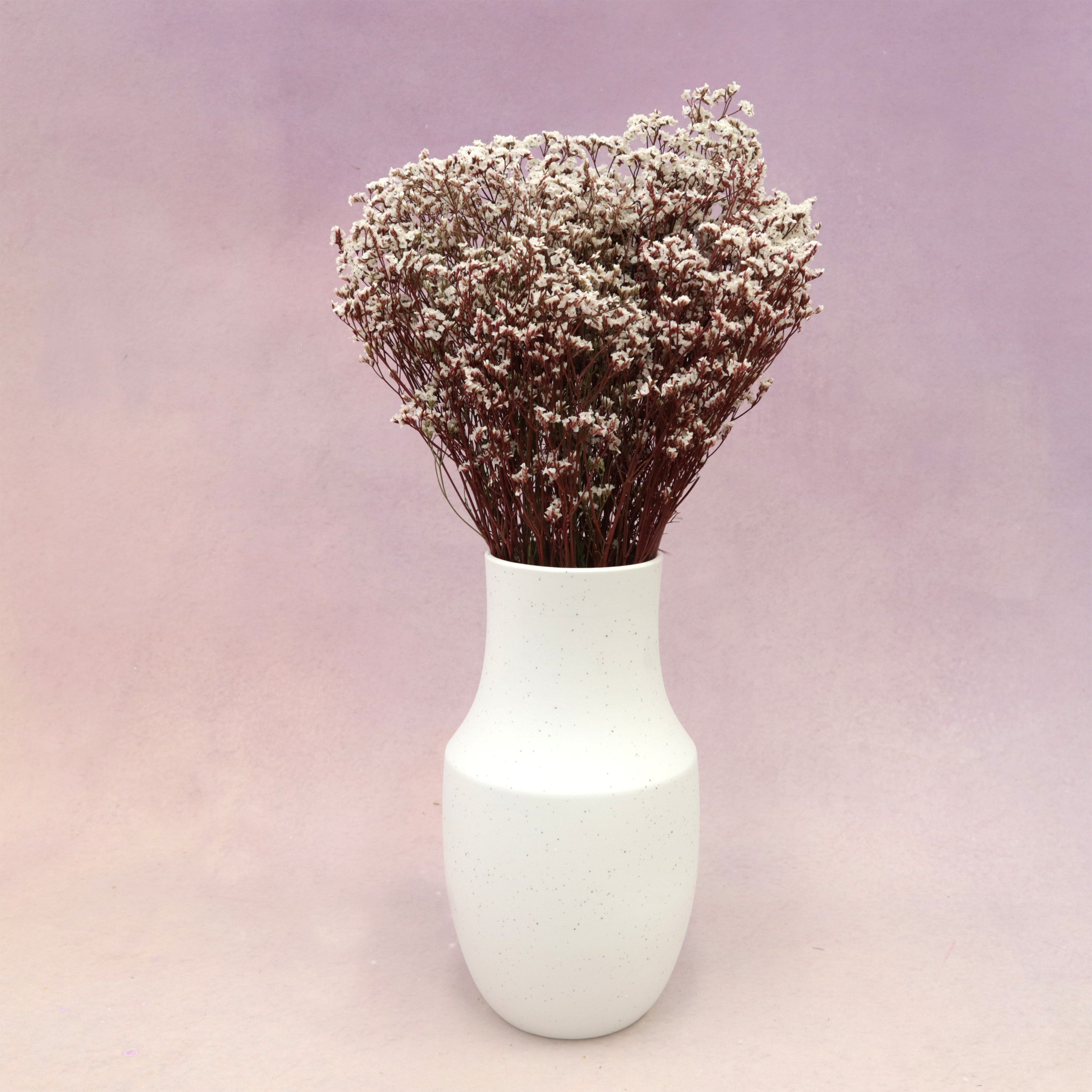 Statice Limonium Sinuatum Wine Red