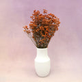 Statice Limonium Sinuatum Orange