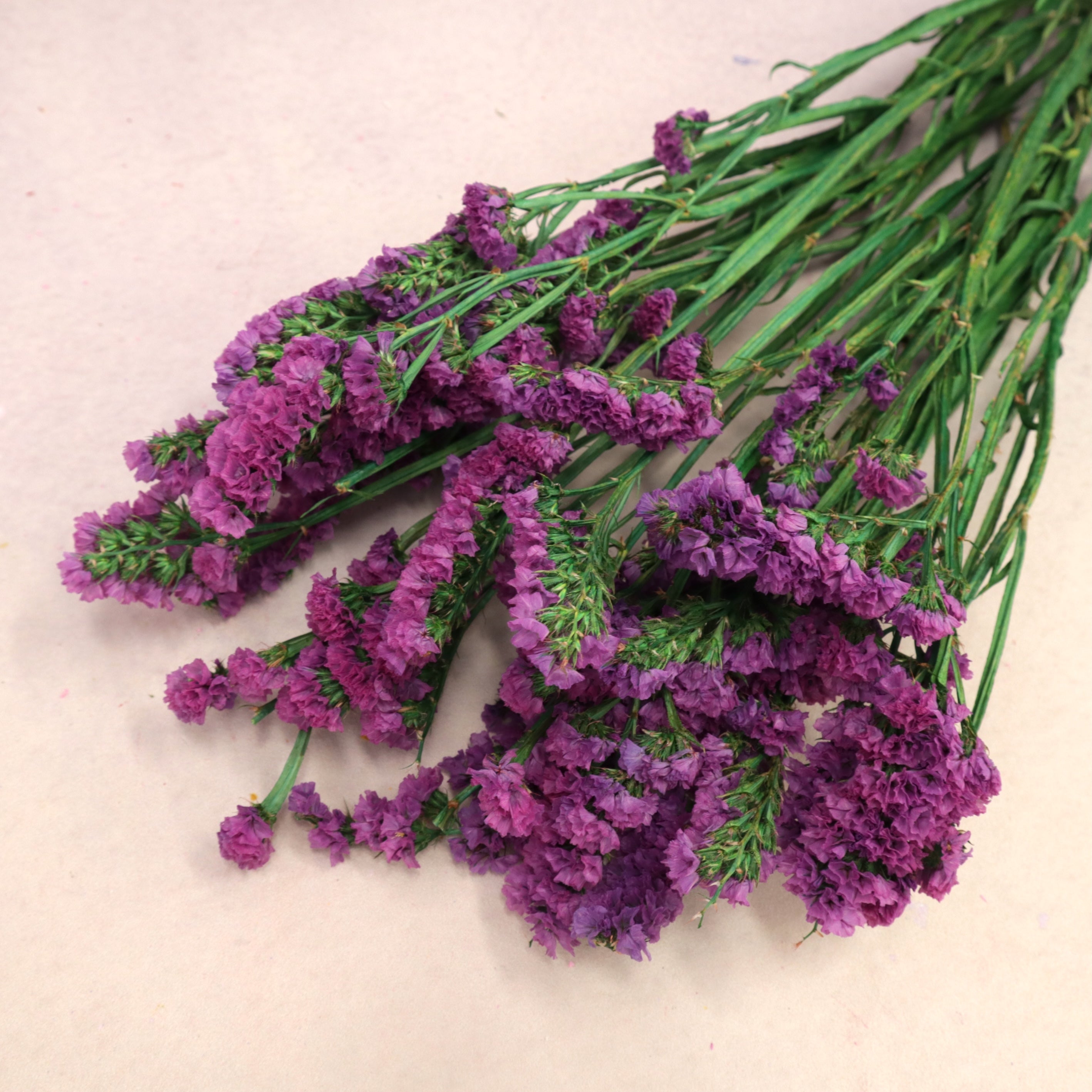 Statice Violet
