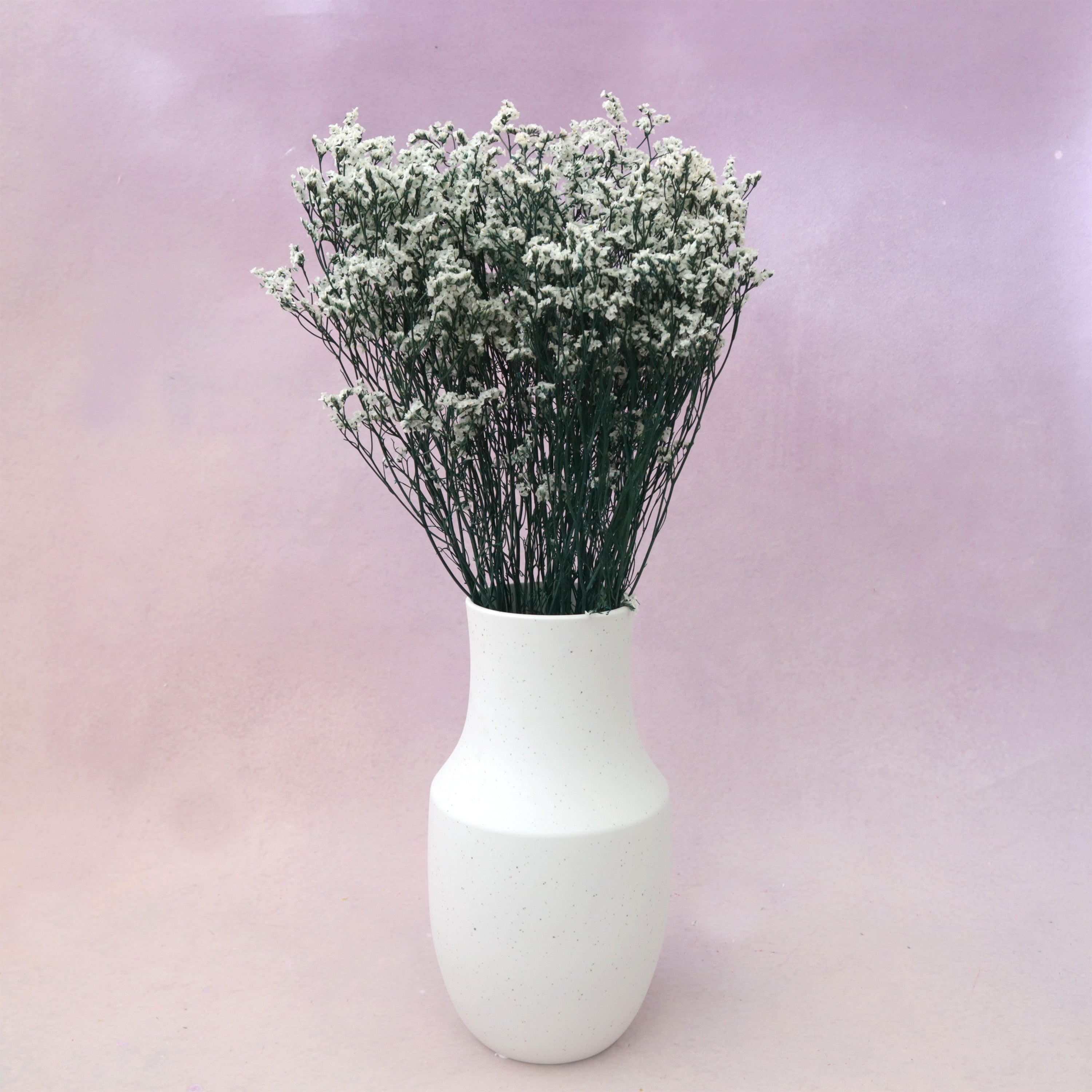 Statice Limonium Sinuatum White