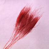 Tiki Fern Dark Red