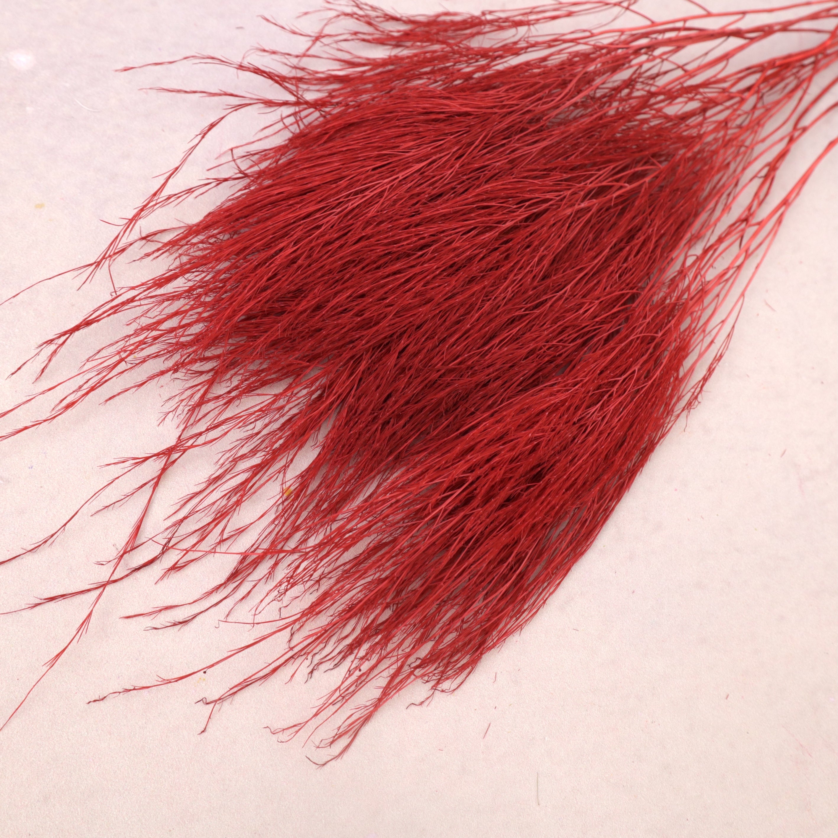 Tiki Fern Dark Red