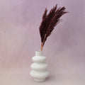 Giant Reeds Grass Wine Red