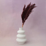 Giant Reeds Grass Wine Red