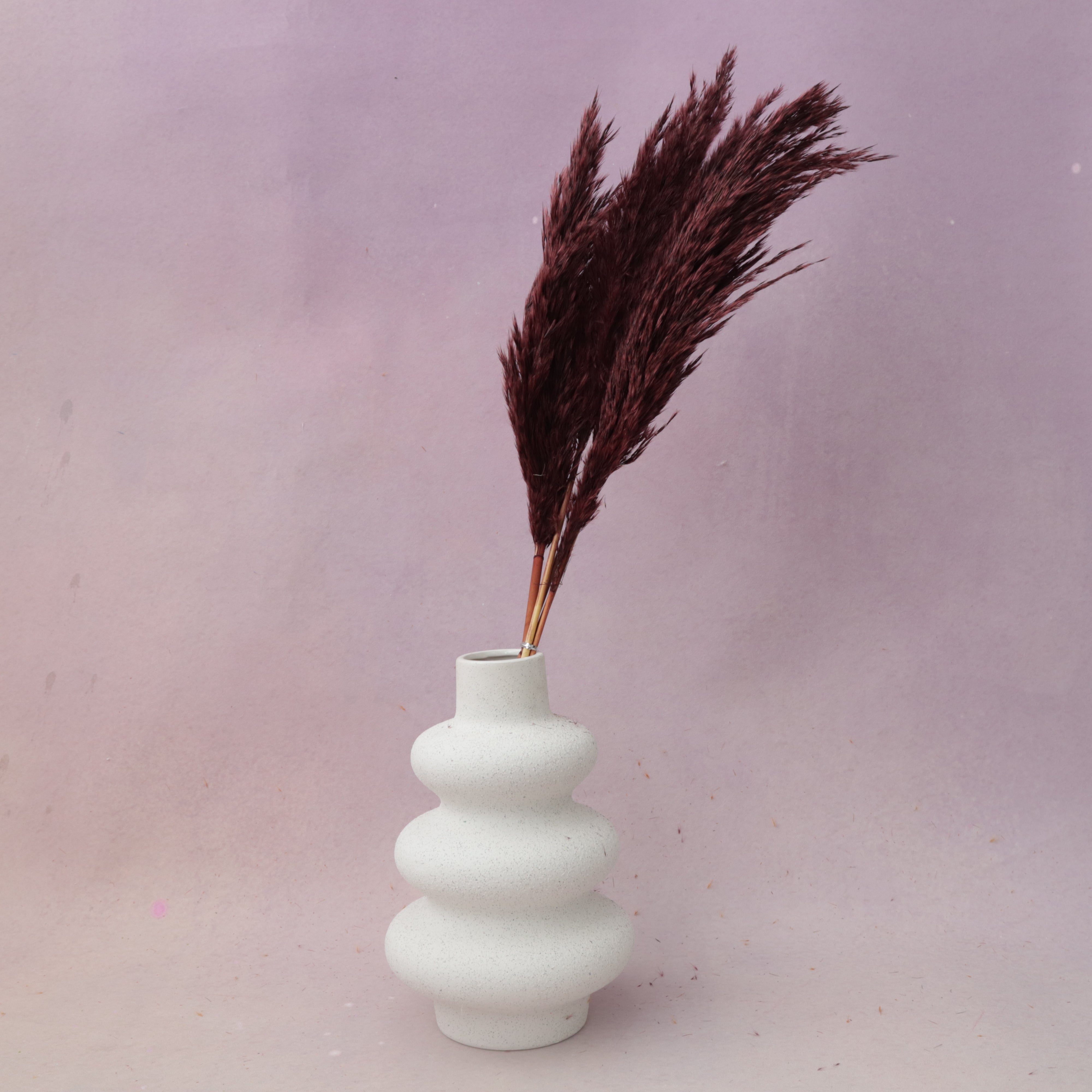Giant Reeds Grass Wine Red