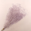 Snowy Baby's Breath Purple