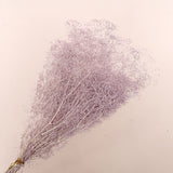 Snowy Baby's Breath Purple