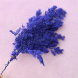 Ming Fern Royal Blue