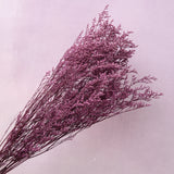 Misty Magenta
