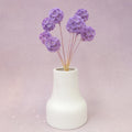Scabiosa Orchid Purple