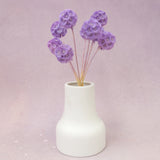 Scabiosa Orchid Purple