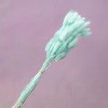 Bunny Tails Turquoise