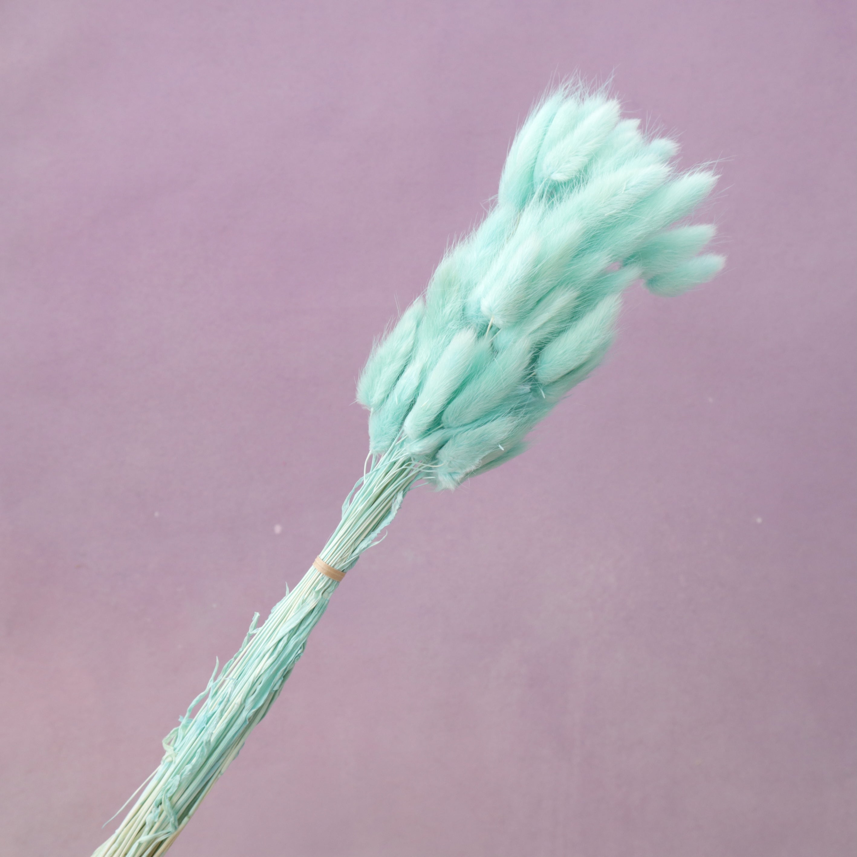 Bunny Tails Turquoise