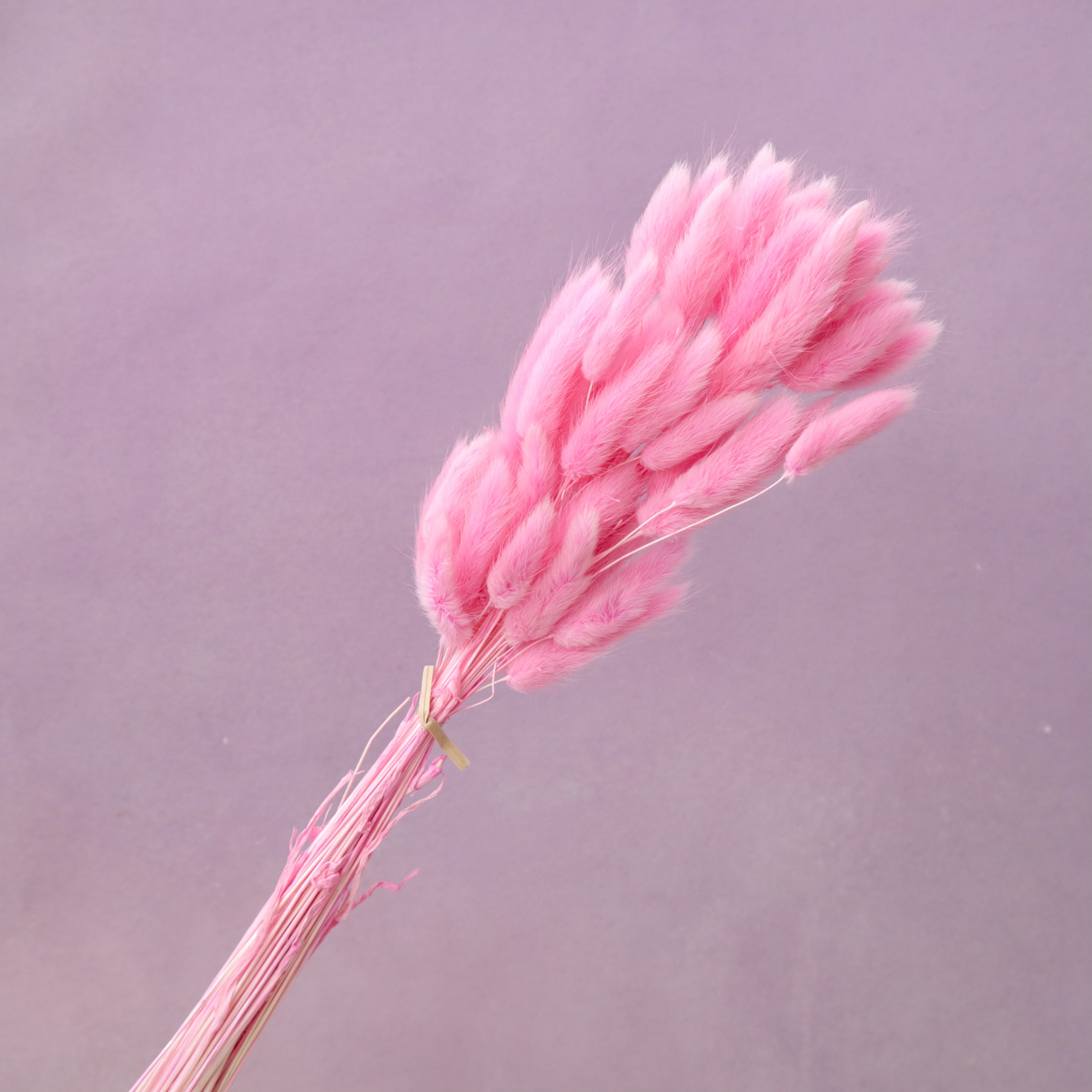 Bunny Tails Hot Pink