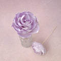 Rosa Chinensis Purple