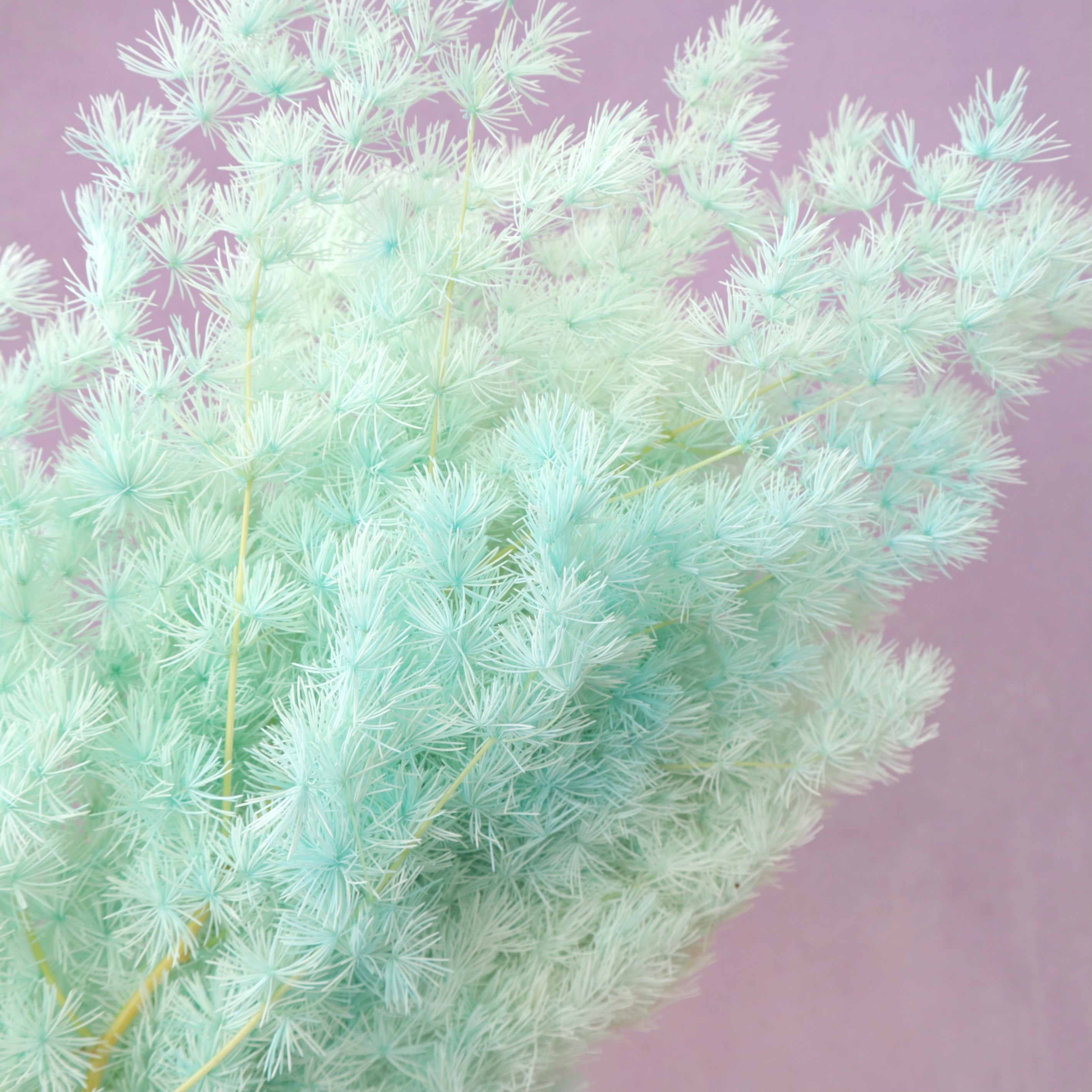 Ming Fern Turquoise
