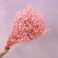 Baby's Breath Soft Pink
