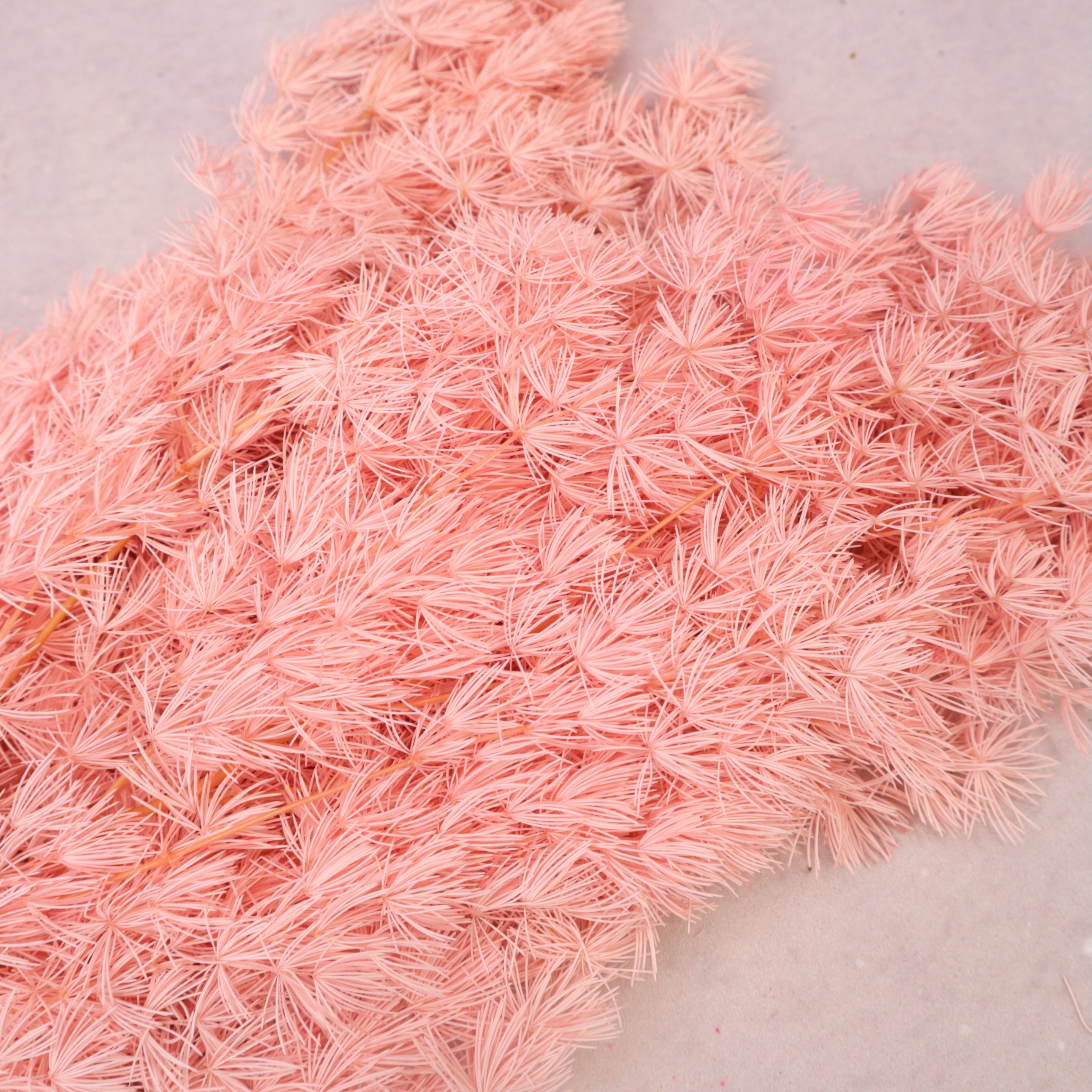 Ming Fern Coral Pink
