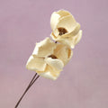 Palm Cap Creamy White