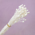 Mini Poppy Pods White