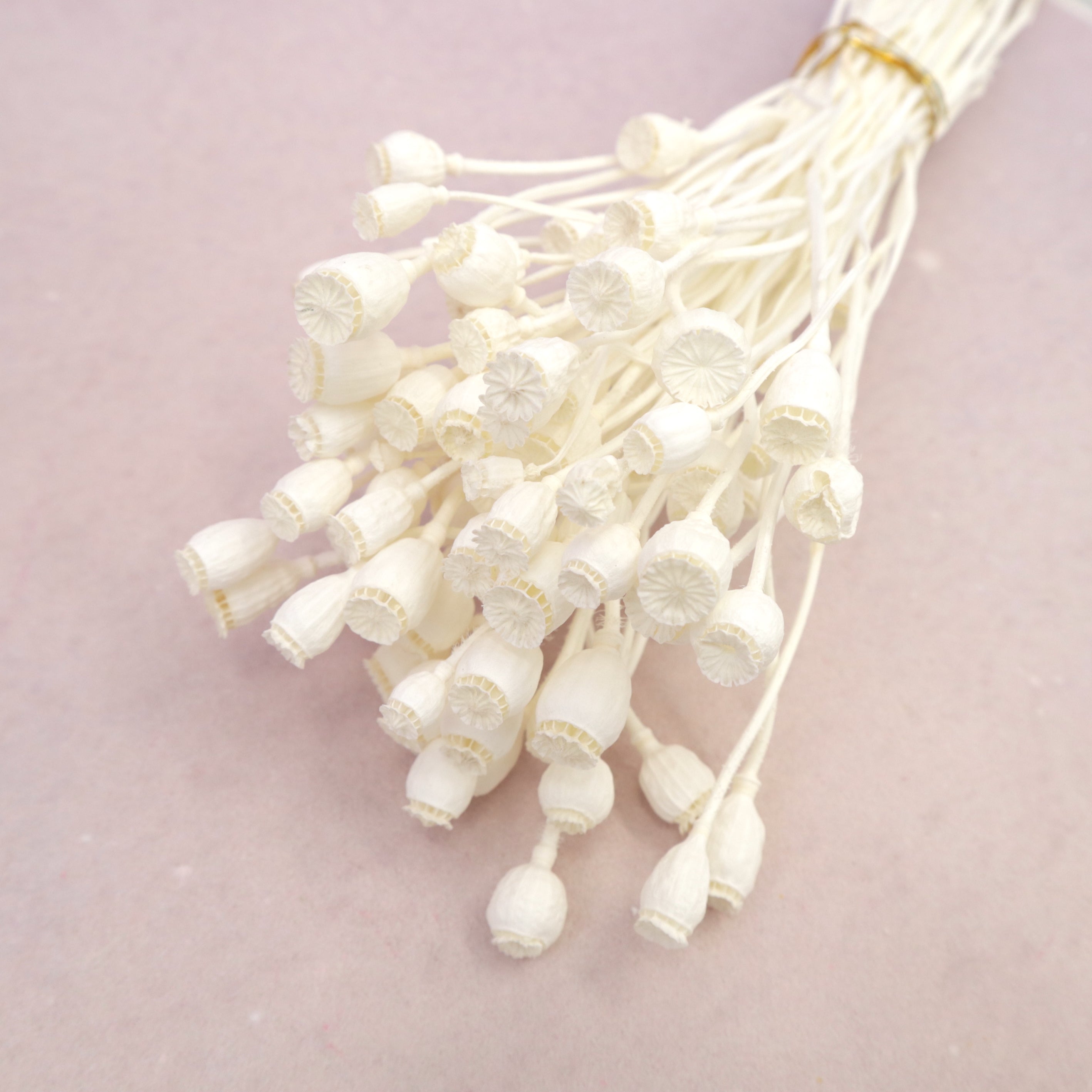 Mini Poppy Pods White