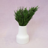 Preserved Lycopodium Green
