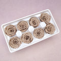Rose Khaki 8 Heads