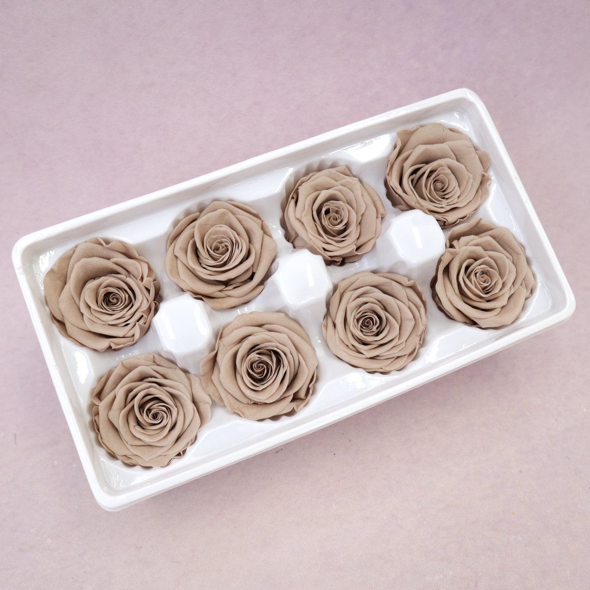 Rose Khaki 8 Heads