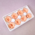 Rose Coral 8 Heads