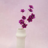 Sola Anemone Flower Magenta
