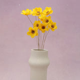 Sola Anemone Flower Yellow