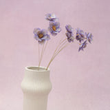 Sola Anemone Flower Purple