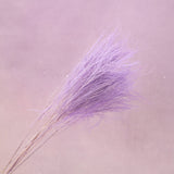 Tiki Fern Mauve