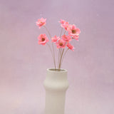 Sola Anemone Flower Pink