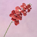 Artificial Orchid Red
